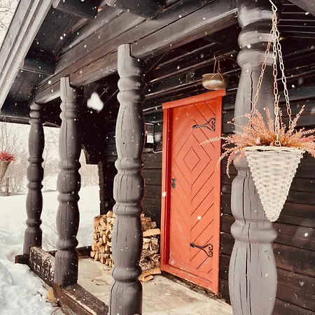 Cosy And Quiet With Sauna Close To Hemsedal Holiday home *